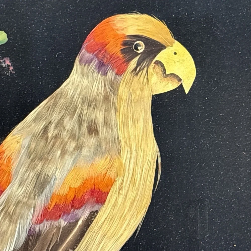 Vtg Mexican Feather Craft Art Bird Picture Wood Frame Multicolored 14.5x6.5